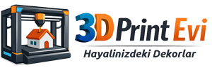 3D Print Evi